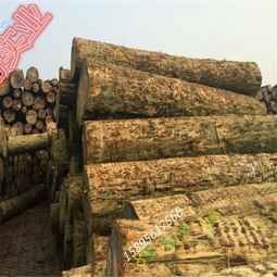 廠家直銷精品輻射松工地木材 品質(zhì)、優(yōu)勢(shì)與家具應(yīng)用